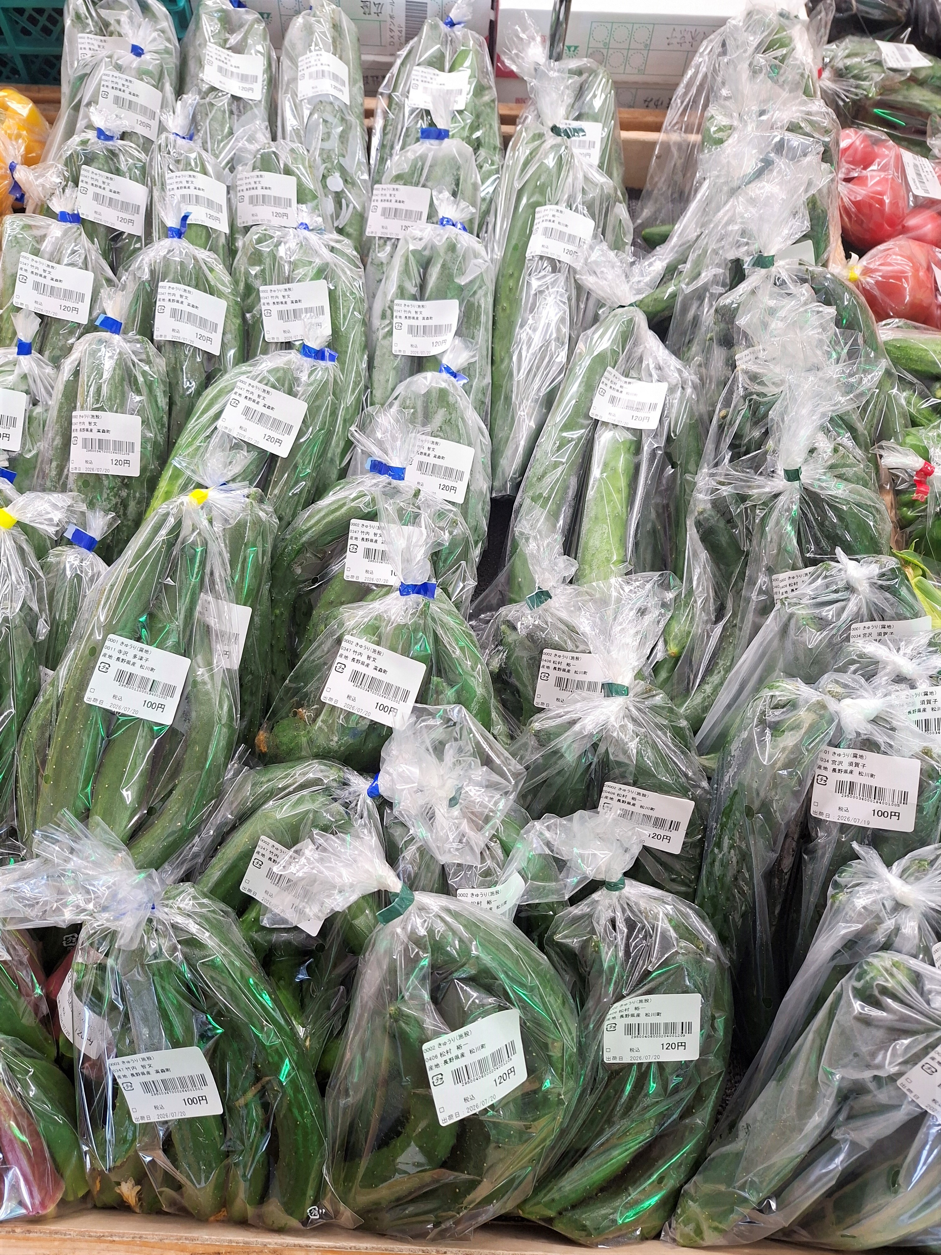 入荷情報】採れたて新鮮夏野菜大集合！！ | 畑とつながるA・コープ