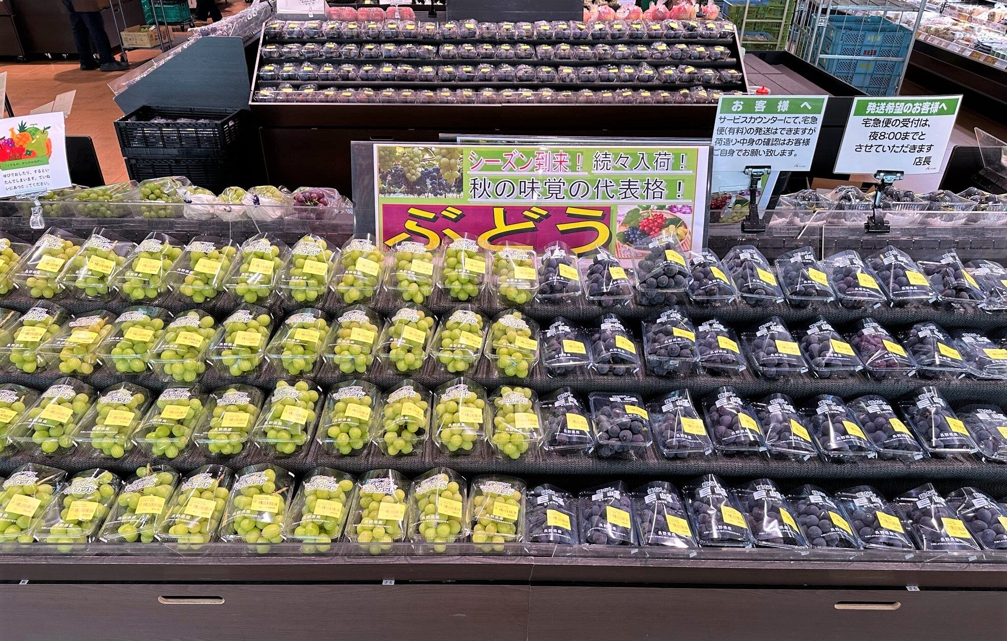 入荷情報】地元自慢の「ぶどう」入荷いたしました！！ | 畑とつながるA