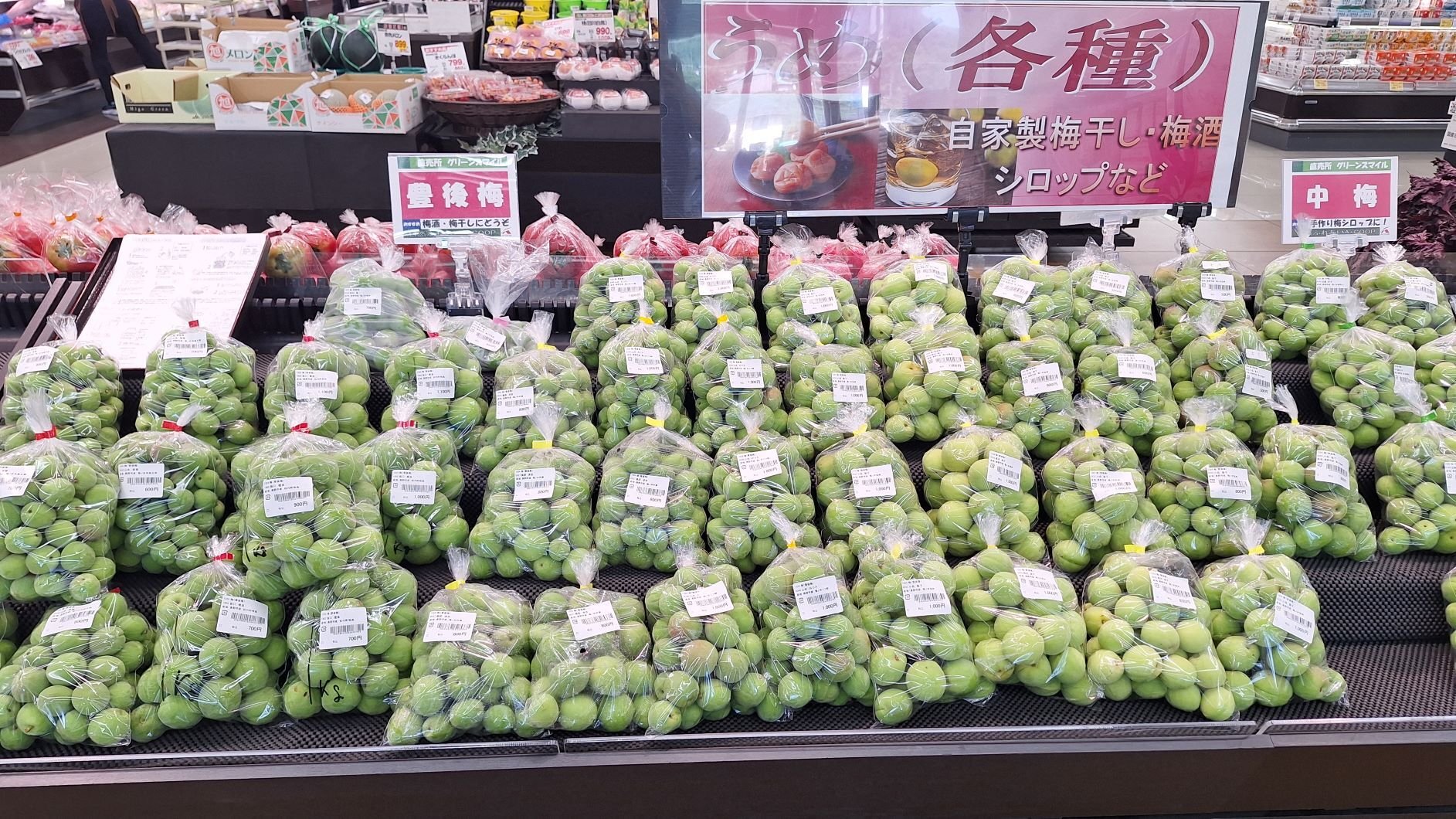 sinonoi_6-3