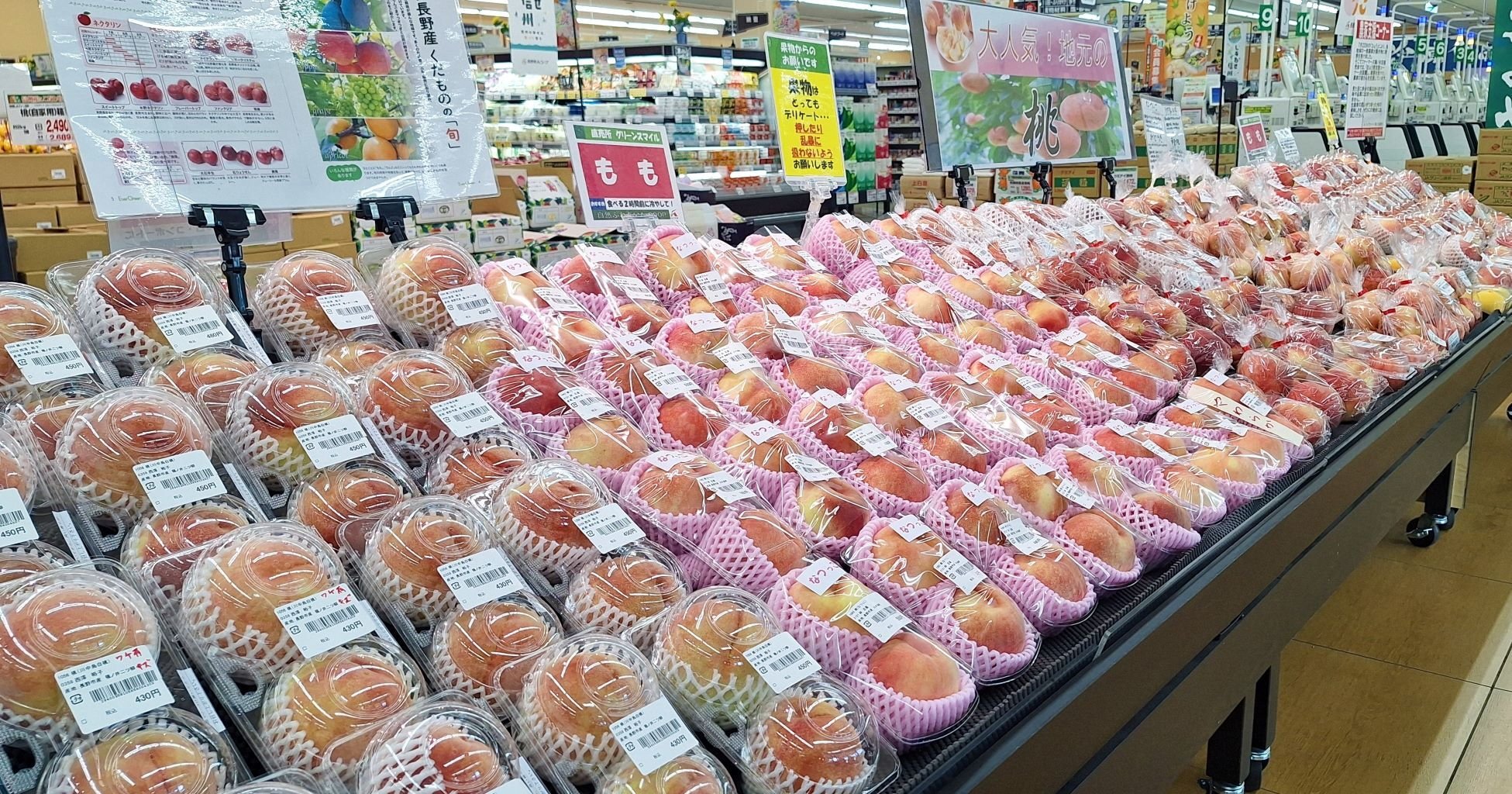sinonoi_8-1-1