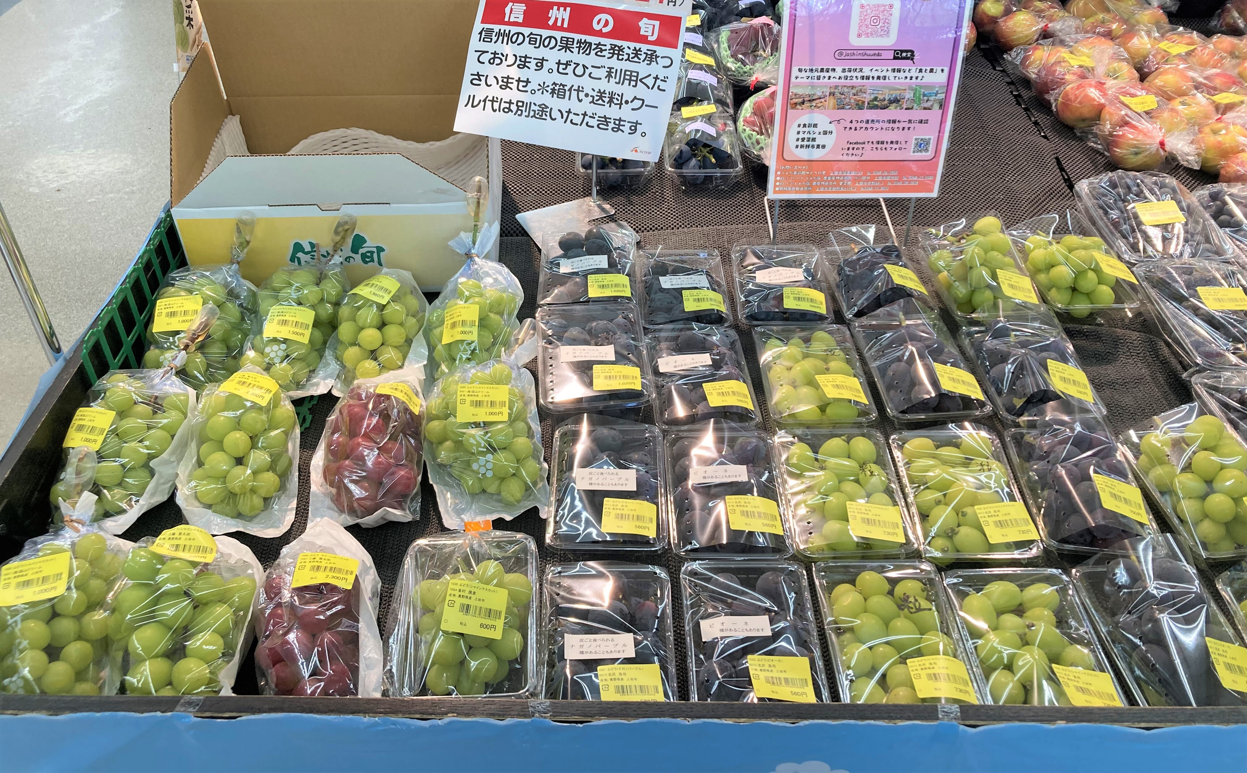 入荷情報】ぶどう・なし絶好調！ りんご秋映が出荷解禁 | 畑とつながる