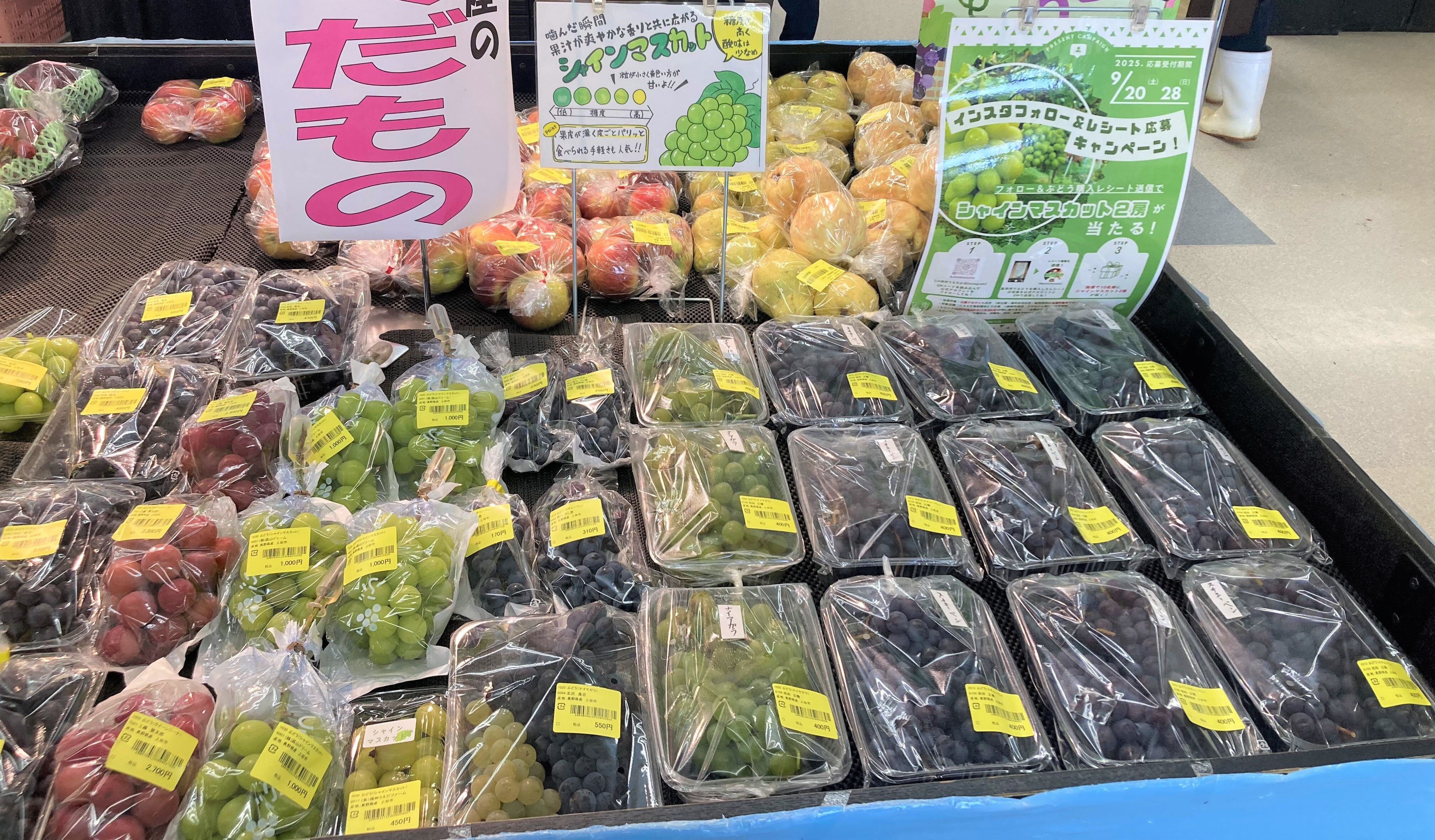 入荷情報】ぶどう・なし絶好調！ りんご秋映が出荷解禁 | 畑とつながる