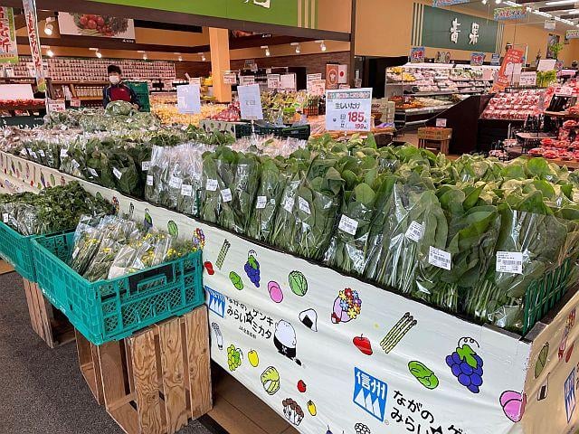 地元の畑で採れた新鮮な野菜