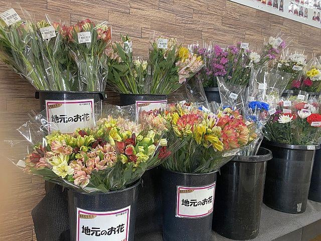 諏訪地区の名花『アルストロメリア』が色とりどりに並びます