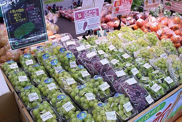 地元生産者が育てた旬の味覚が並びます