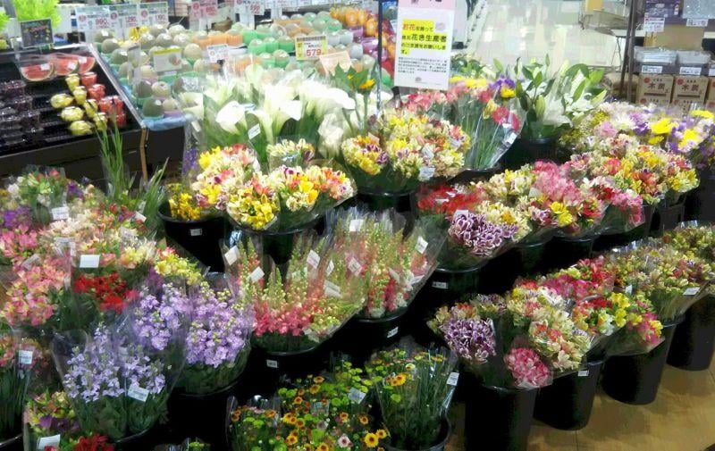 季節のお花はもちろん、ドライフラワーも充実