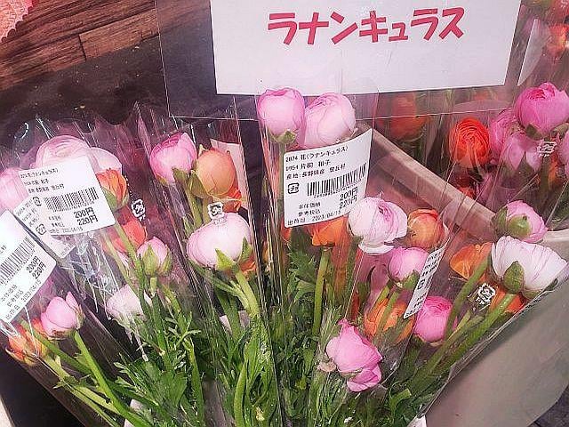 たかぎ店（ファーマーズタイプ）画像02
