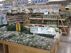 コアしおだ店 店舗案内画像01