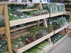 コアしおだ店 店舗案内画像02