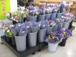 コアしおだ店 店舗案内画像04