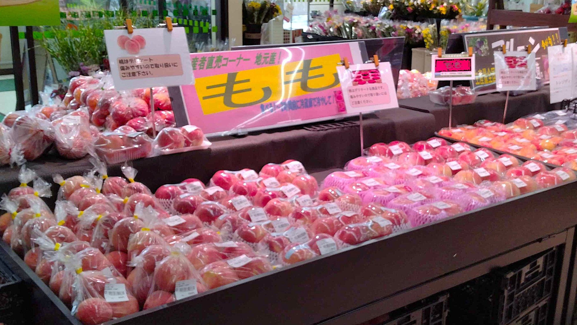 sukou_26.8-1