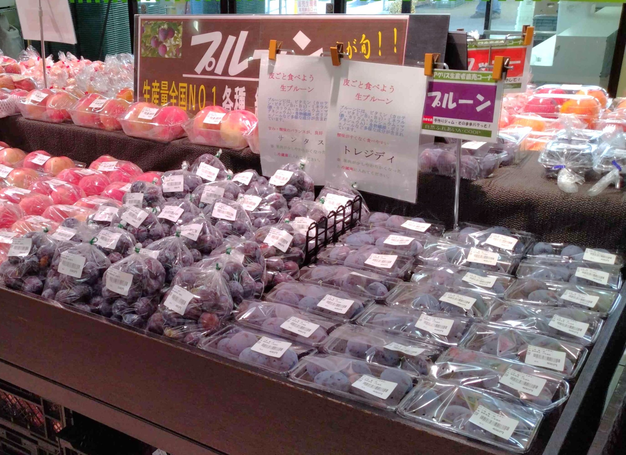 sukou_26.8-2