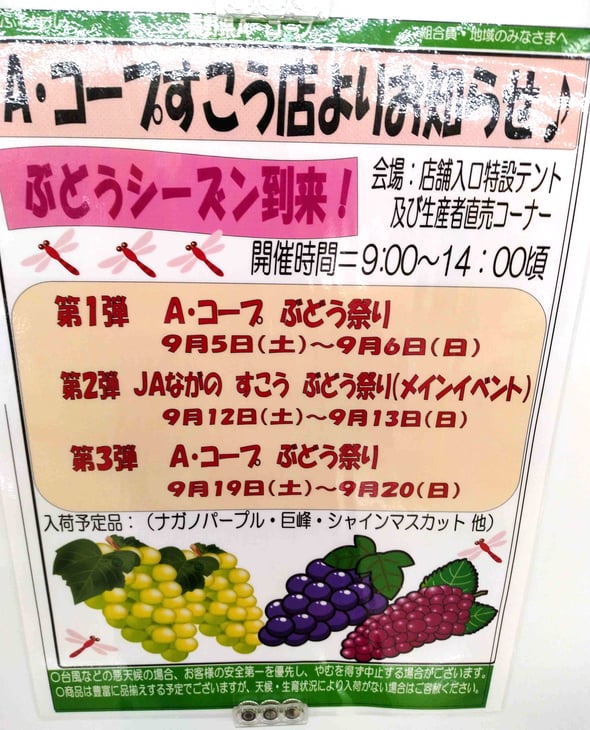 sukou_info_26.8