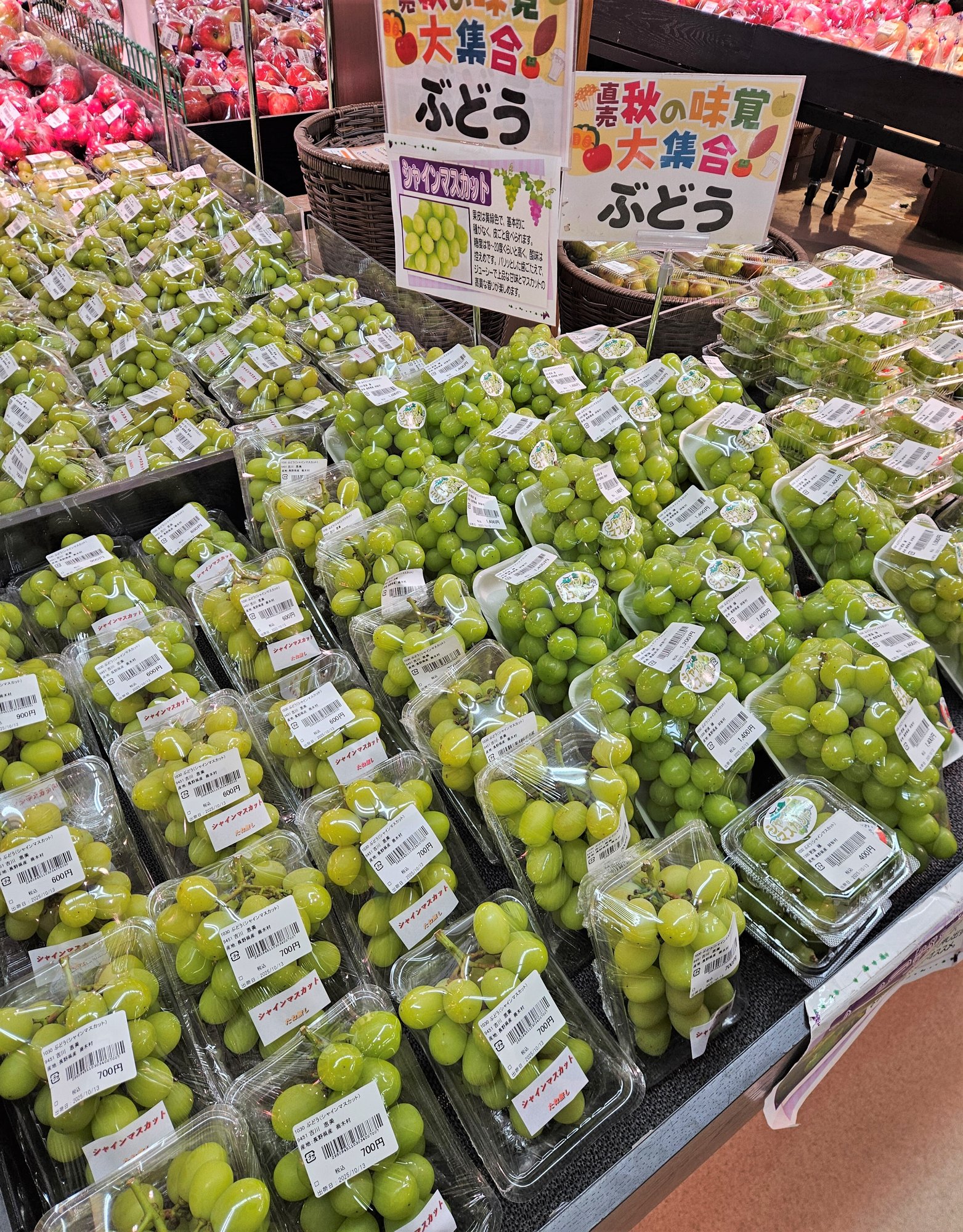 takagi_10-3
