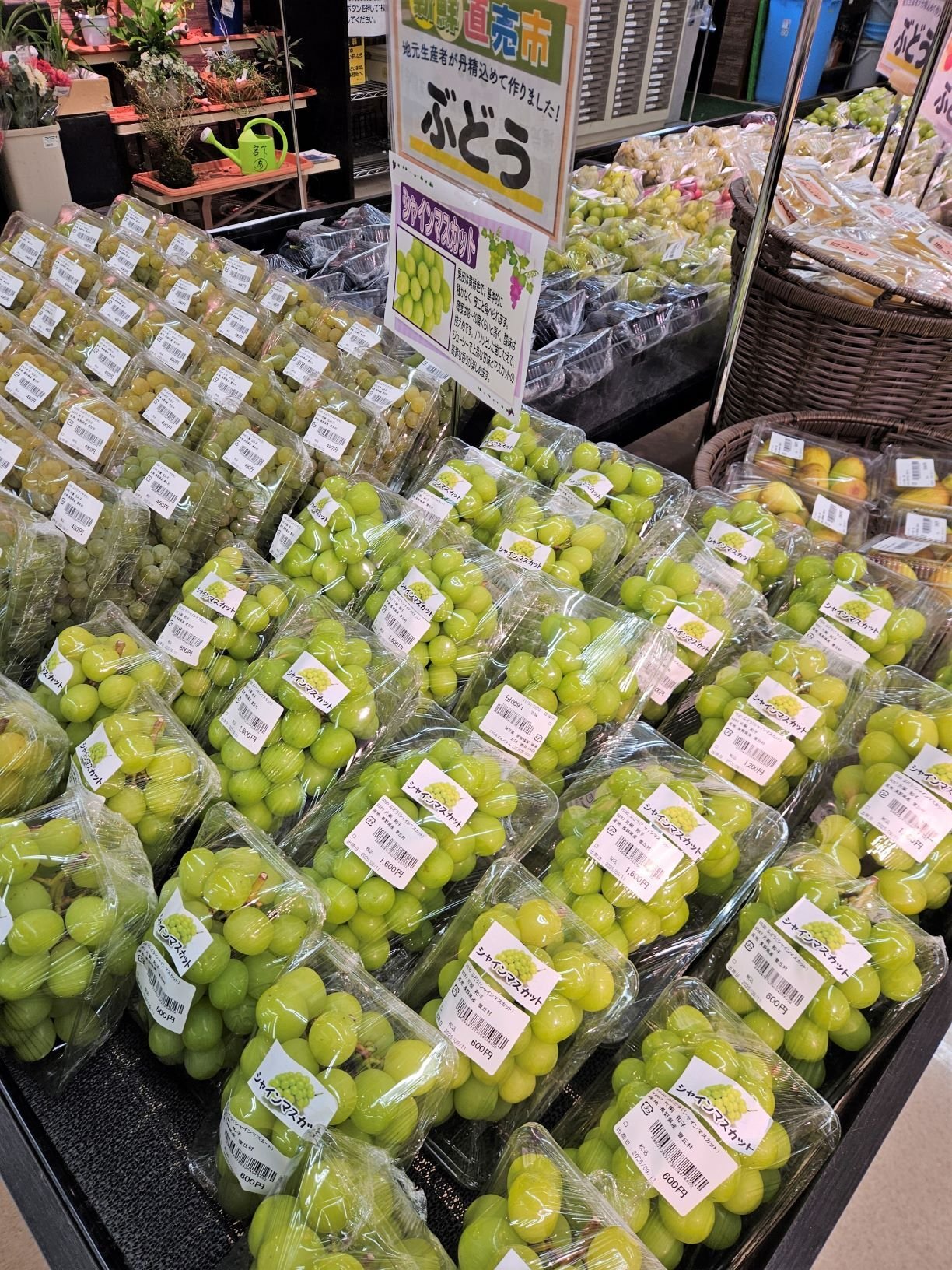 takagi_9-3