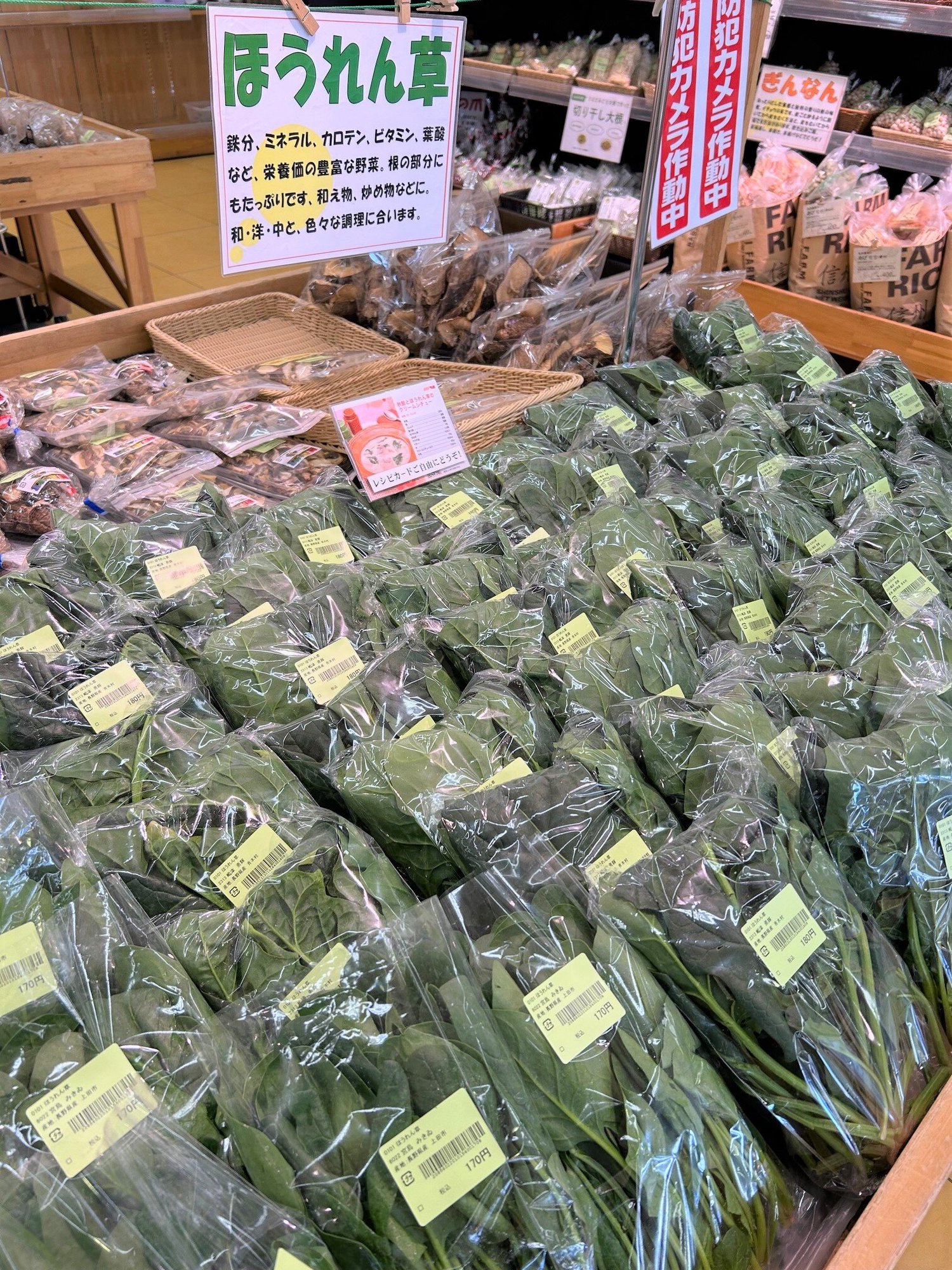 ueda2