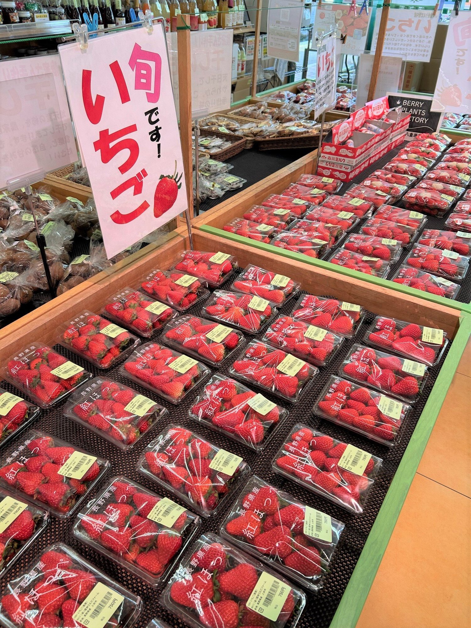 ueda3