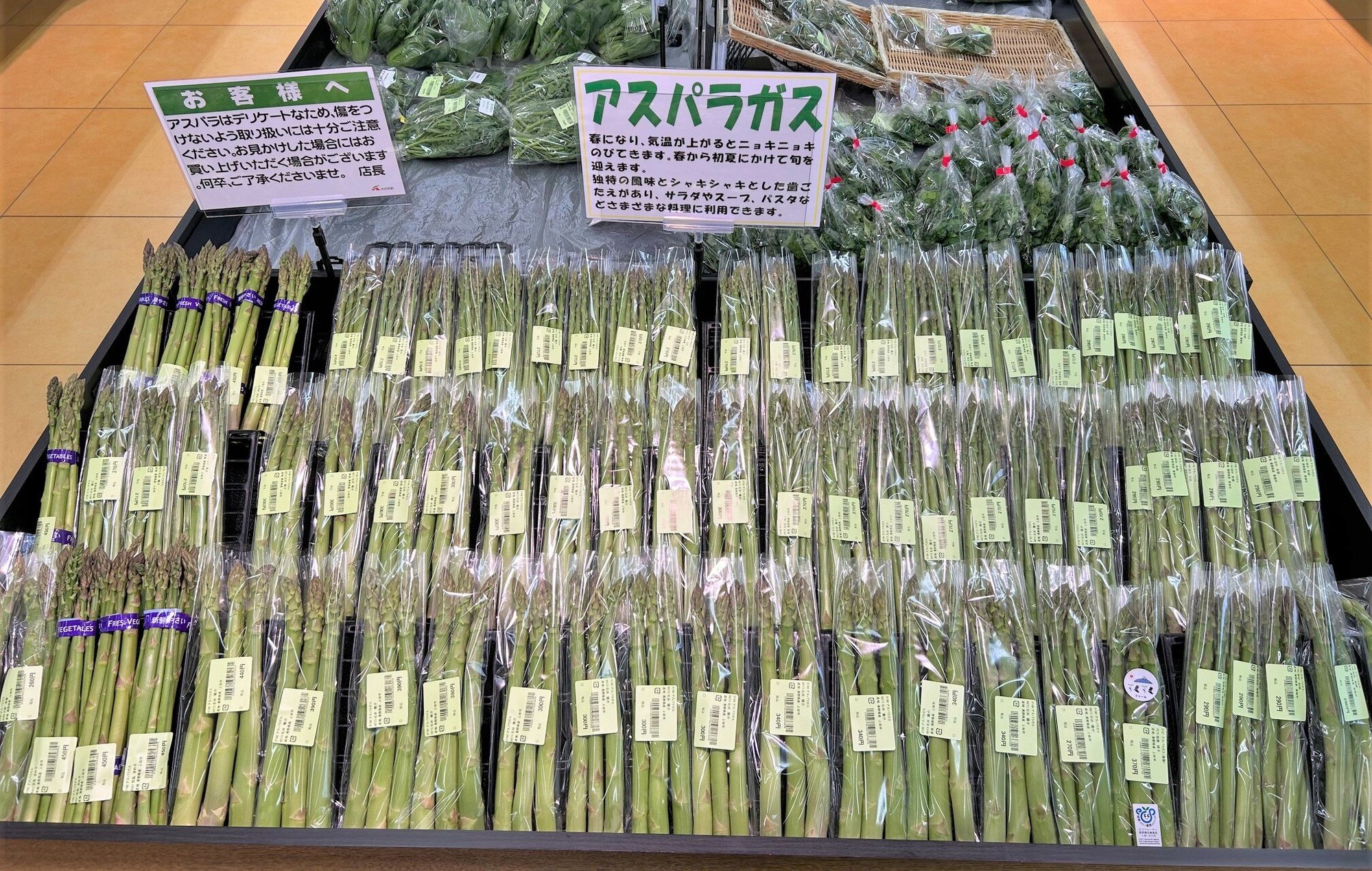 ueda4_1