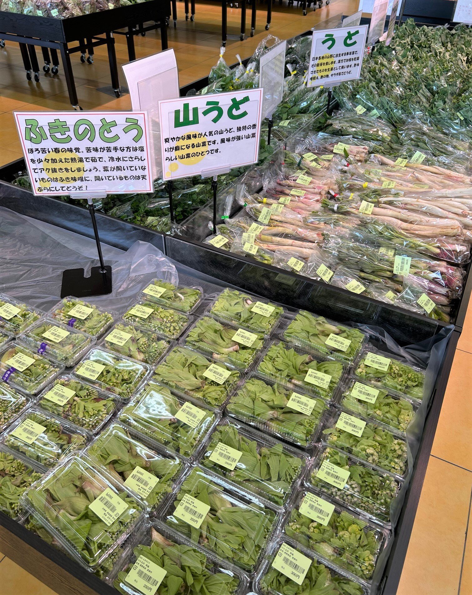 ueda4_2