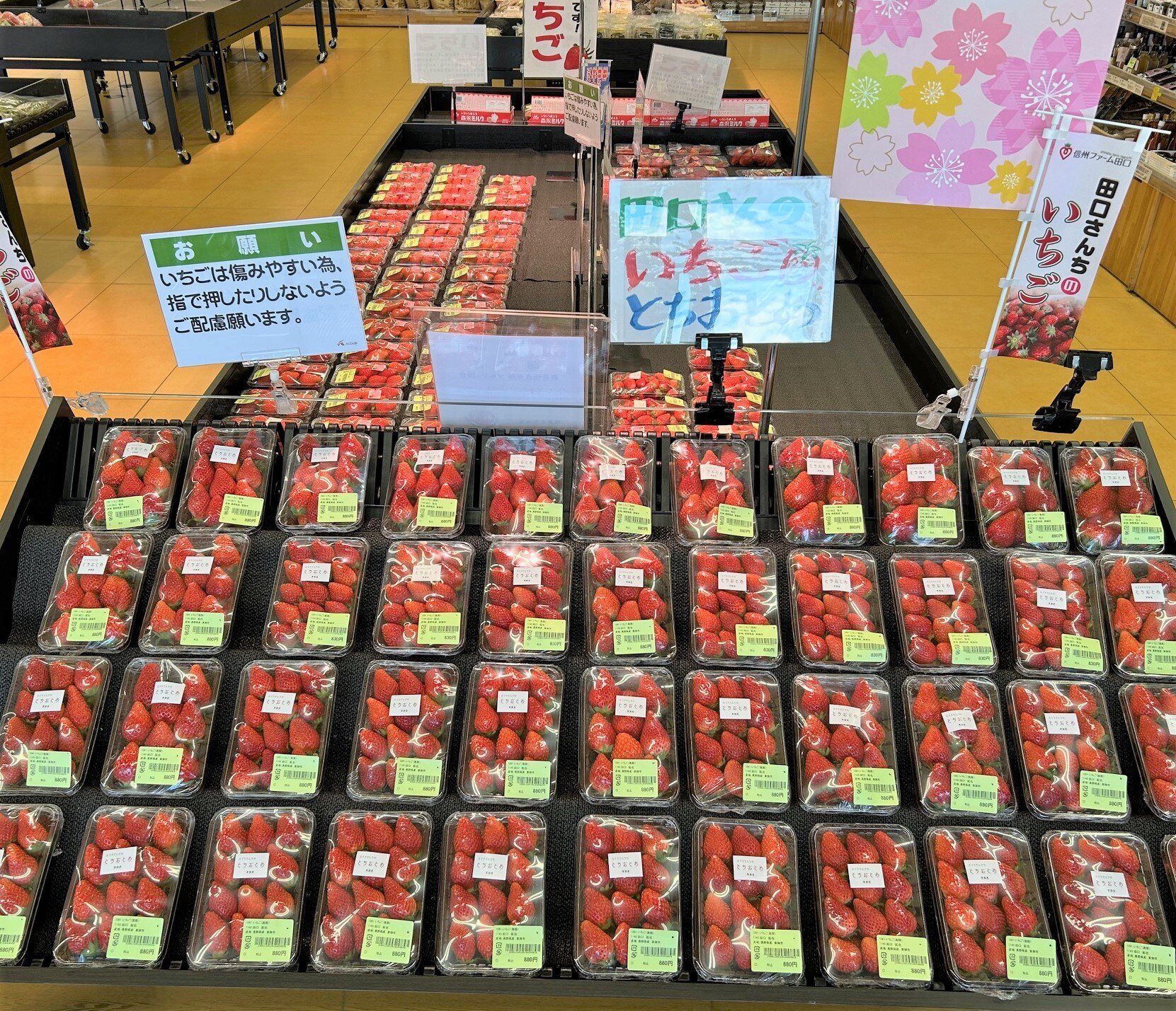 ueda4_3