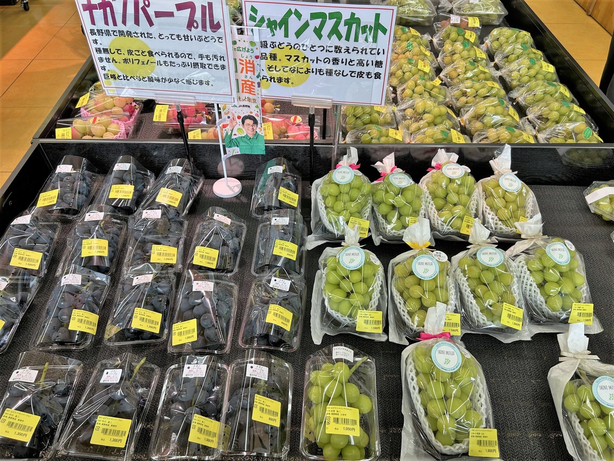 ueda_10-3