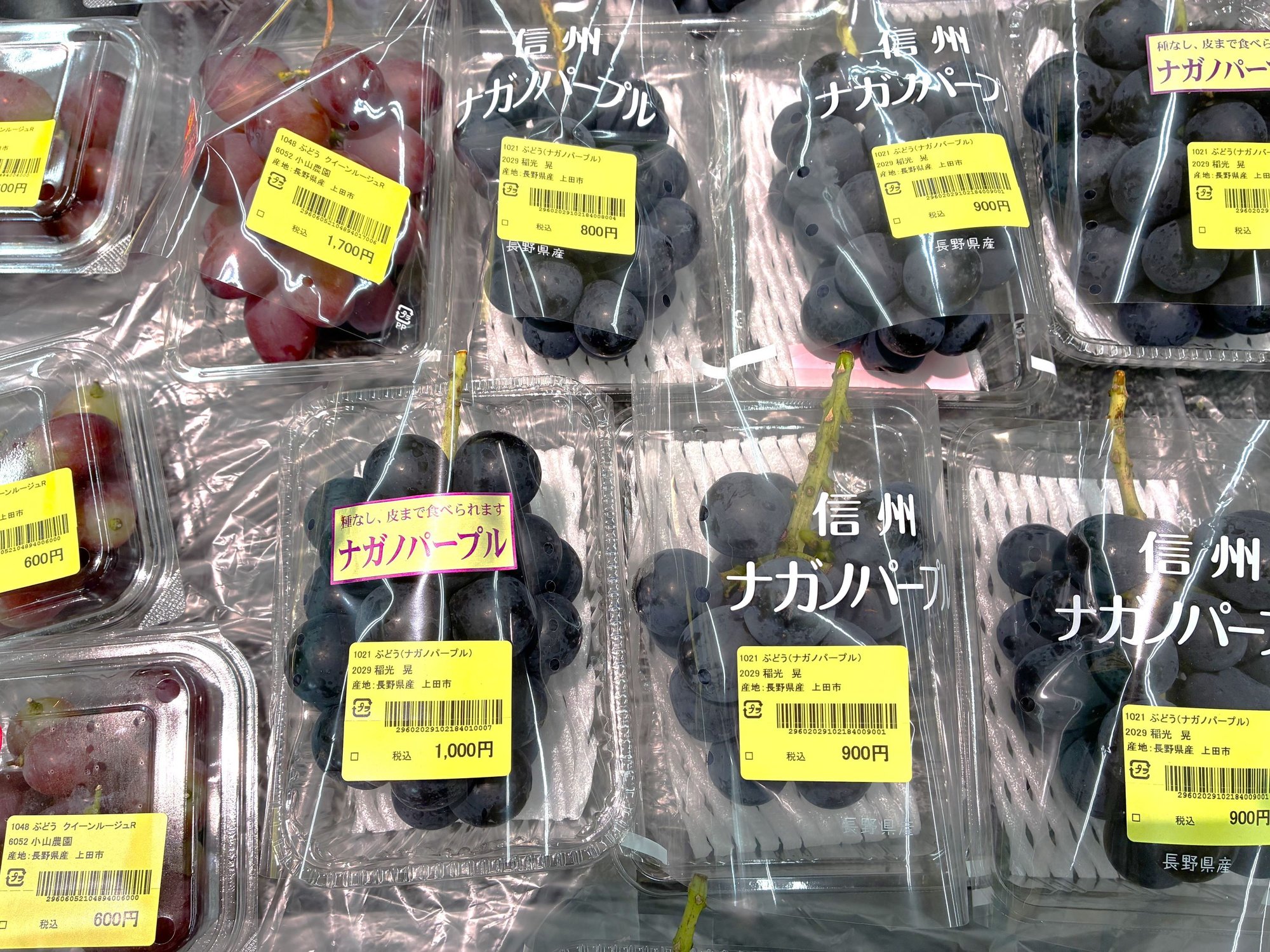 ueda_26.8-1-1