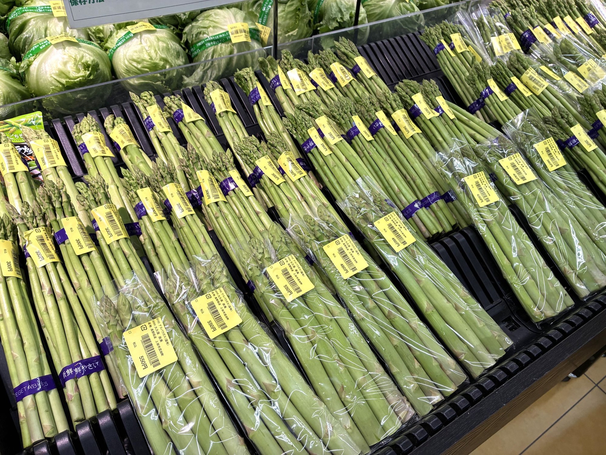 ueda_26.8-3