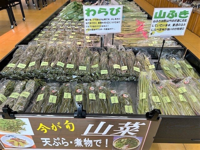 ueda_5-1