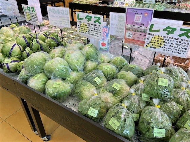 ueda_5-2