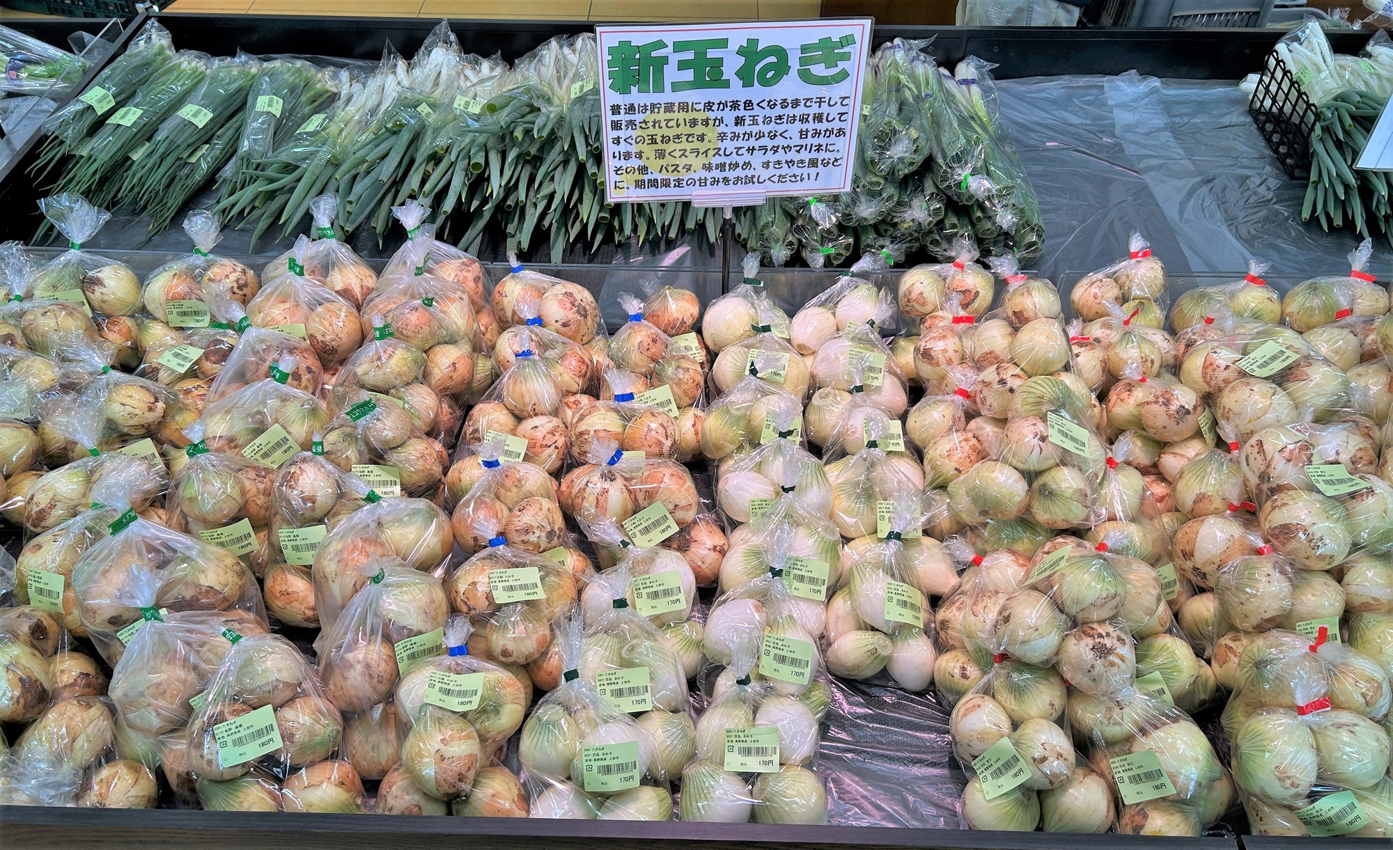 ueda_5-3
