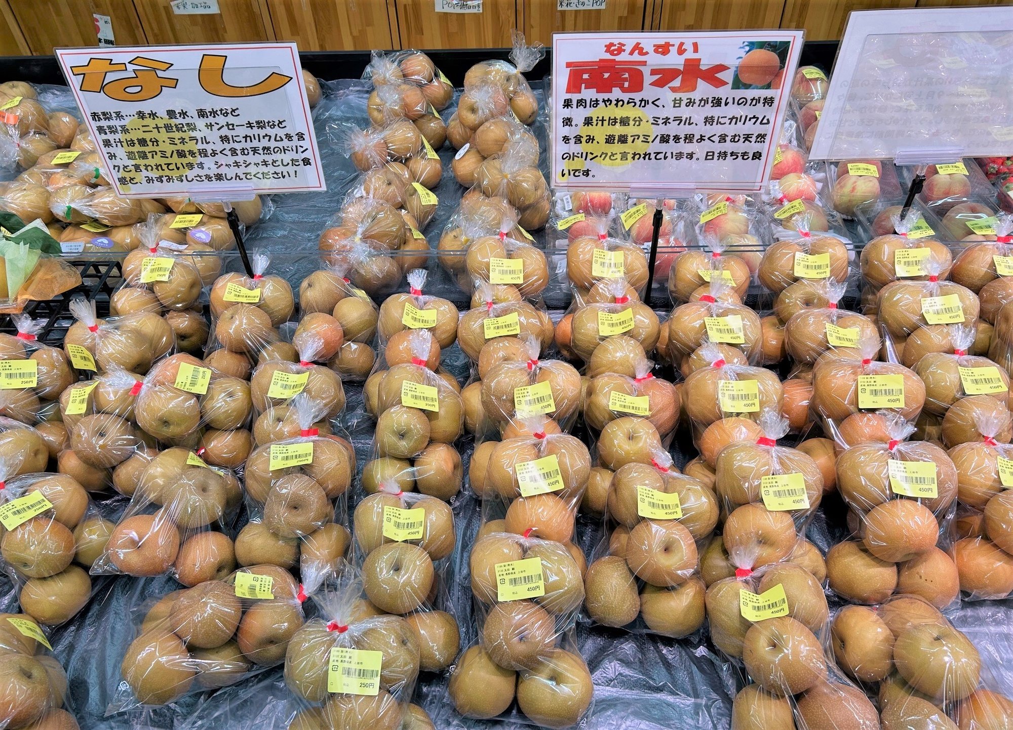 ueda_9-1