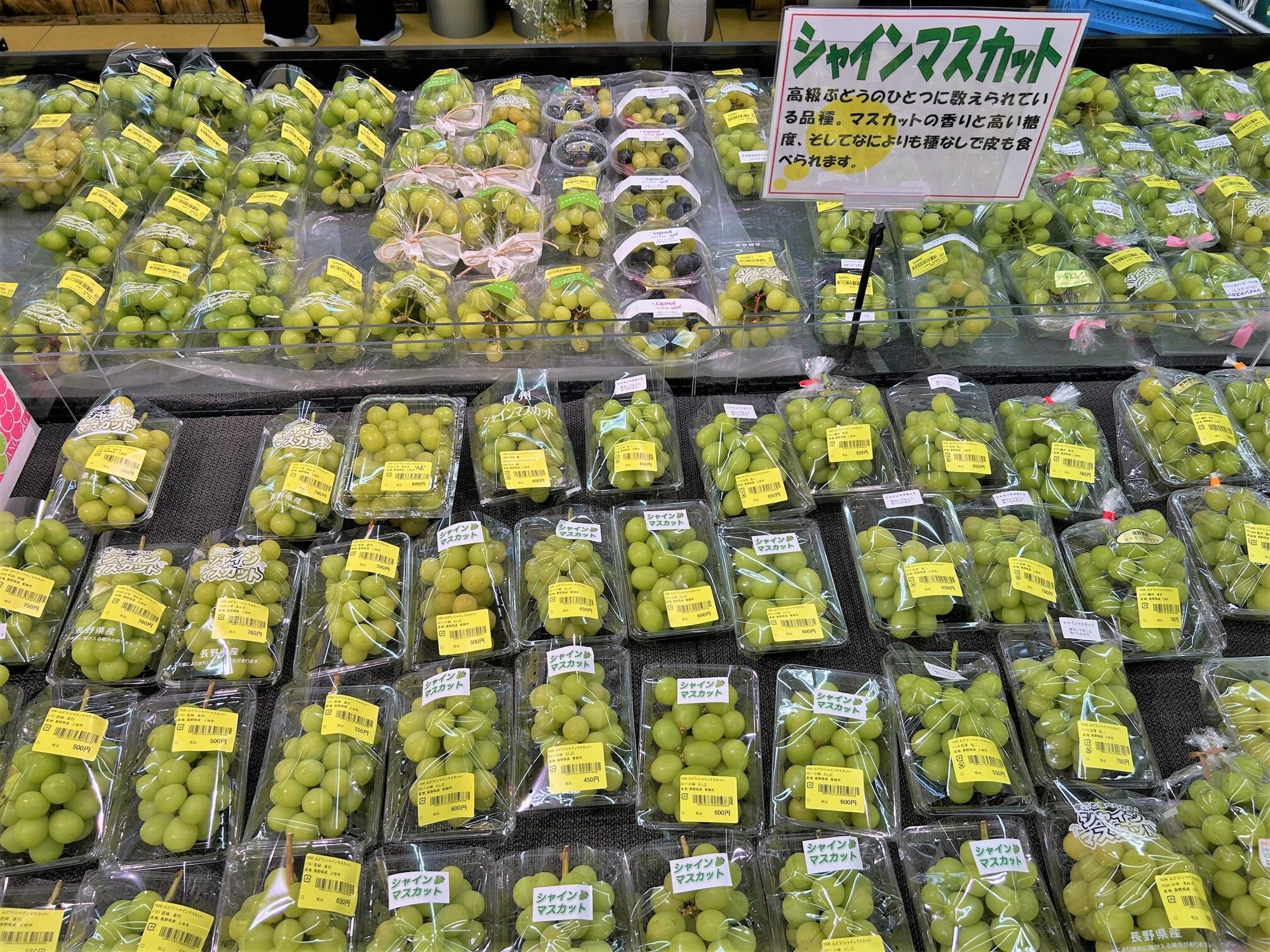 ueda_9-3