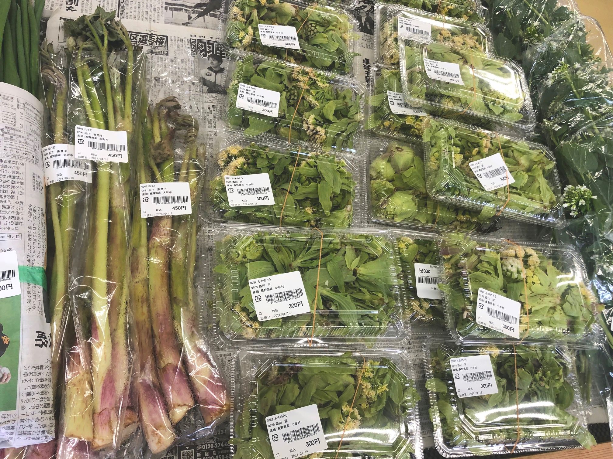 入荷情報】山菜各種、入荷いたしております。 | 畑とつながるA・コープ