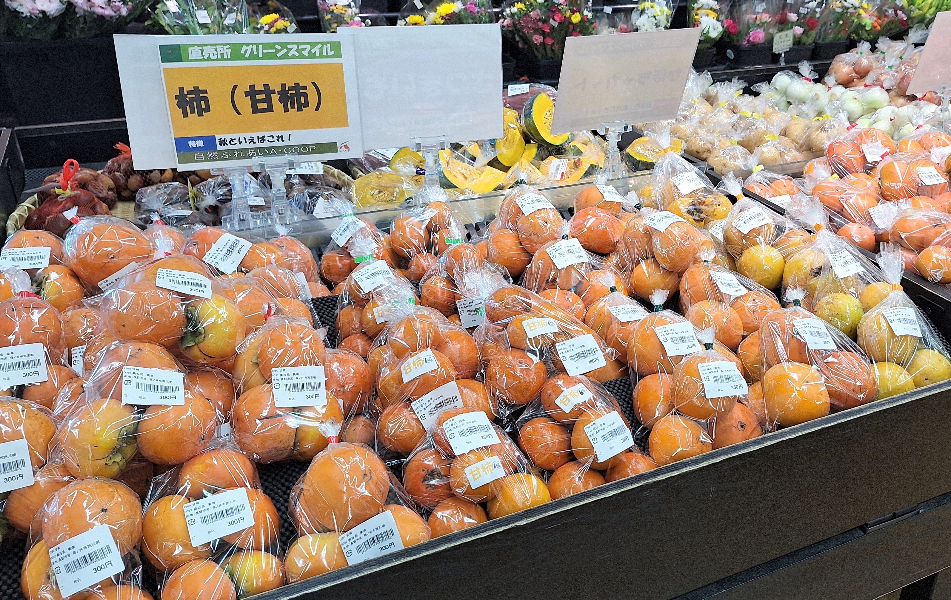 入荷情報】秋の空 露をためたる 青さかな | 畑とつながるA・コープ