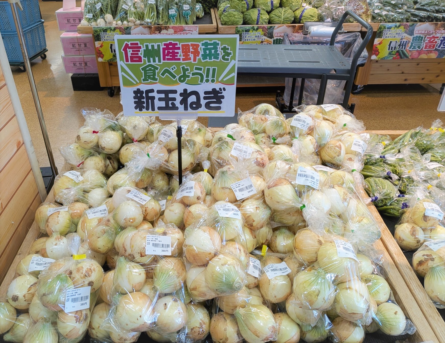 入荷情報】地元産のきゅうり大量入荷中！新たまねぎ入荷始まりました