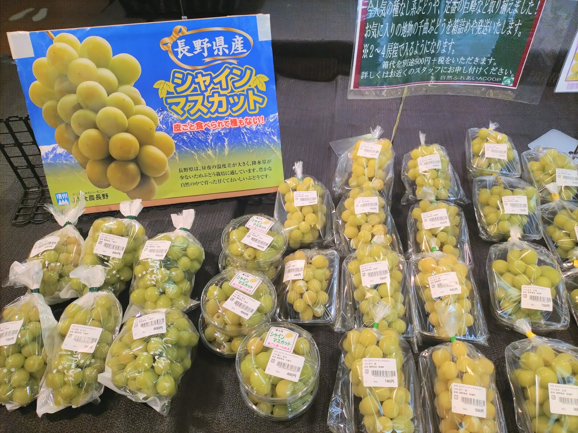 入荷情報】直売コーナより！ちくまの「ぶどう」賑わってきました