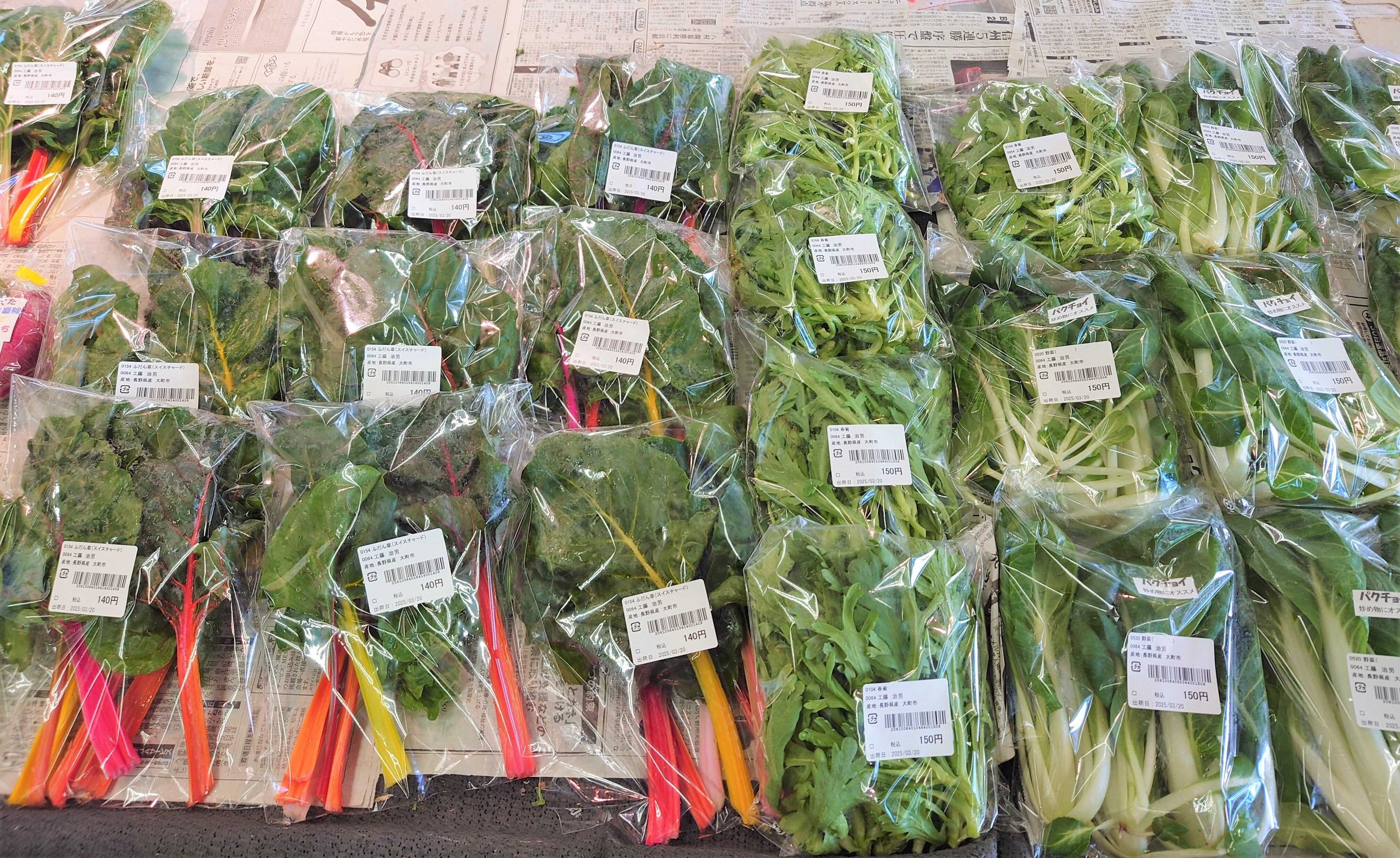 油麦菜/A菜/長野県産/約8kg入/業務用 油麦菜/A菜/長野県産/約8kg入/業務用 油麦菜（A菜） 【業務用