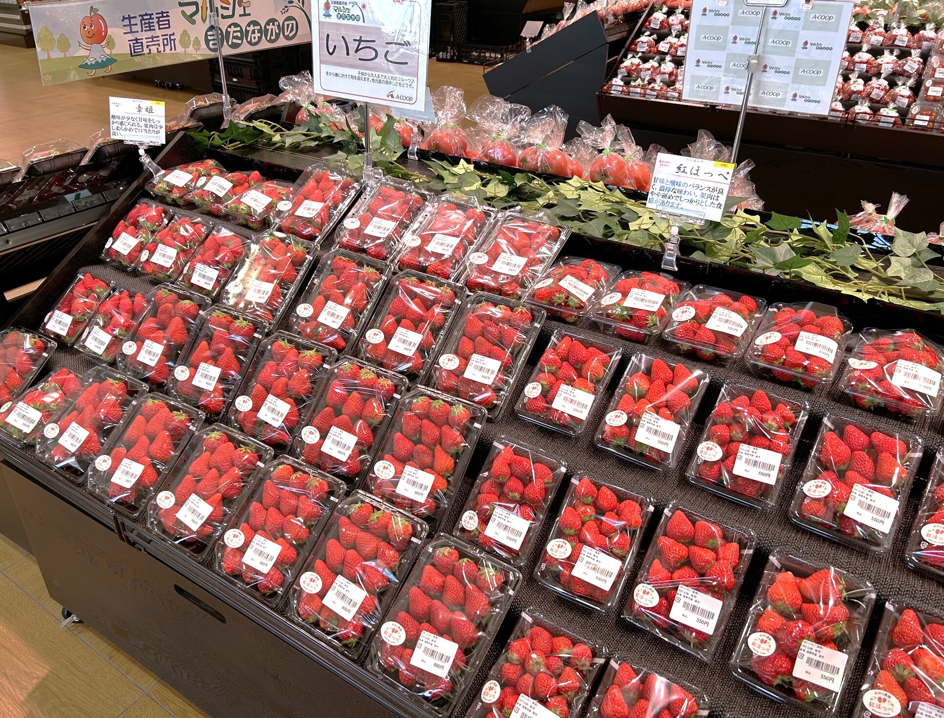 入荷情報】「マルシェきたながの」からの入荷情報！ | 畑とつながるA