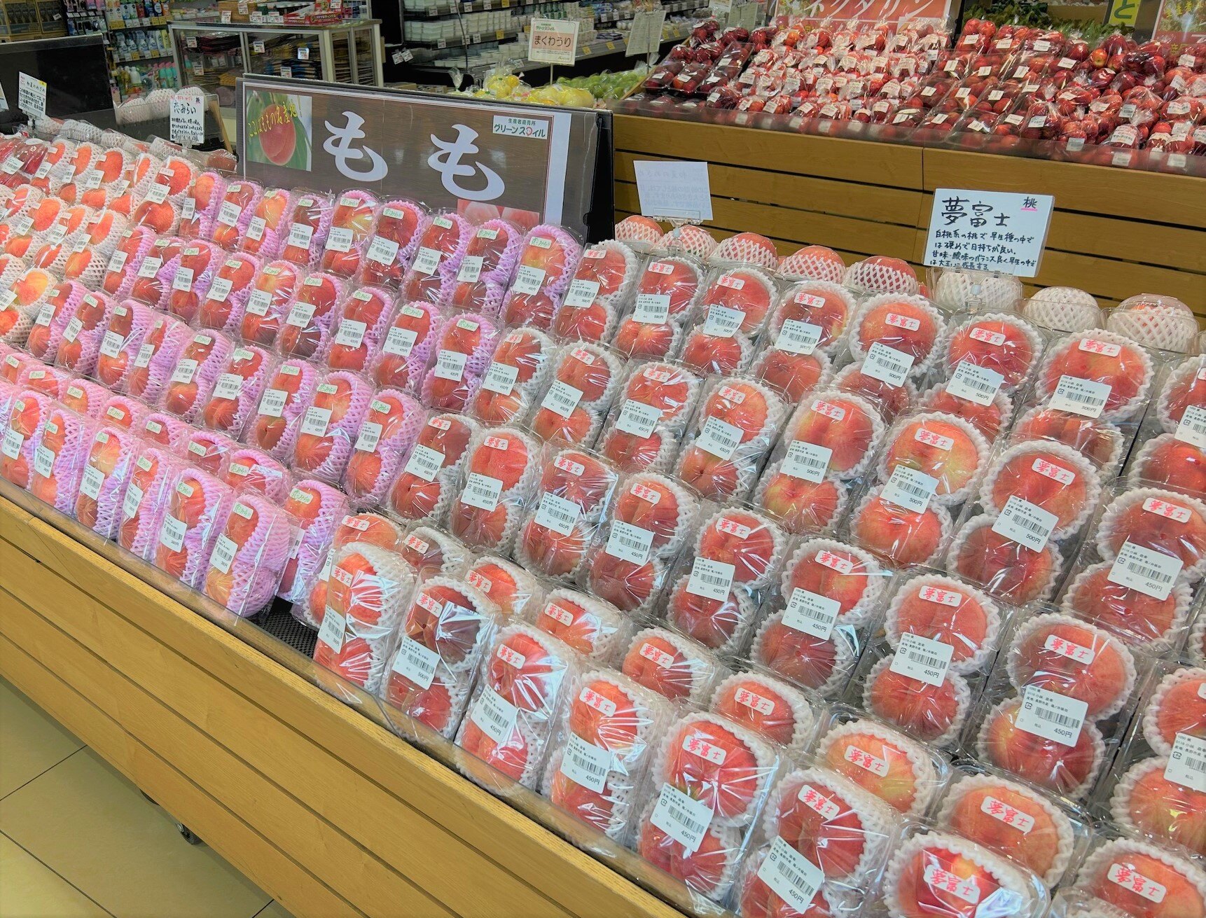 ももコーナーです。他の方は、ご購入ご遠慮下さいませ。 屋外用ラベル 強粘着 A4 6面 余白あり 角丸｜HISAGO ヒサゴ株式会社